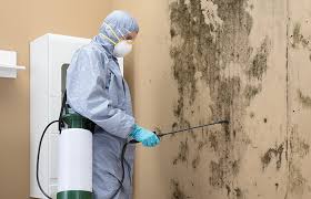 Best Asbestos and Lead Testing During Mold Inspection  in Elephant Butte, NM